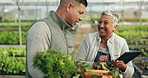 People, teamwork and tablet for greenhouse management, agriculture and sustainability, gardening or agro business. manager, seller or food farmer on digital tech for vegetables or farming e commerce