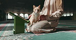 Muslim, person and cat in a mosque during praying, worship or comfort while reading on the floor. Holy, religion and an Islamic man with a pet or animal during spiritual study, learning or relax
