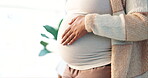 Pregnant, woman and hands touching stomach for baby love, child development and care in living room of home. Zoom, person and belly growth for pregnancy, peace and kid wellness on blur background