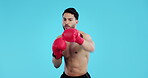 Boxing gloves, man and punch or fight in studio for mma, martial arts or combat sports. Athlete person, bodybuilder or boxer on a blue background for exercise, workout and training with action