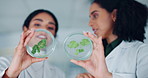 Petri dish, leaves and sample with scientist women in laboratory, ecology or agriculture with investigation. Discussion, collaboration and plant in container, science experiment and medical research