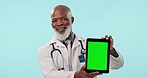 Doctor, green screen tablet or elderly black man with hospital web news, medical brand logo or commercial mockup space. Studio portrait, online medicine promotion or clinic surgeon on blue background