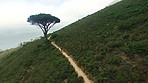 Jogging along the mountain