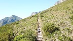 The staircase in nature