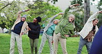 Yoga class, park and elderly group with coach exercise together in nature for health and wellness training. Peace, balance and senior people or friends outdoor workout or stretching for body fitness