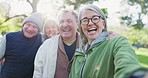 Park selfie, face and senior happy friends bonding, support and smile for reunion memory photo of old woman, man or club. Happiness, portrait photography or elderly group for winter profile picture