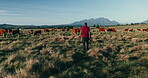 Sustainability, agriculture and man with cattle, farming and nature with landscape, environment and industry. Person, farmer and guy with animals, outdoor and walking with stock, countryside and cows