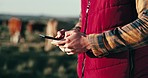 Hands, agriculture and man with a smartphone, field and connection with research, internet and sustainability. Person, farmer or guy with a cellphone, countryside or contact with website information