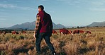 Agriculture, farm and man with cattle, walking and sustainability with mountains, environment and landscape. Outdoor, person and farmer with stocks, cows and nature with animals, field or countryside