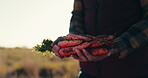 Farmer, hands and carrots for farming, agriculture and sustainability with grocery or supply chain offer. Worker, seller or supplier with vegetables, food and harvest for agro business in lens flare