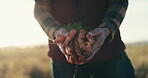 Hands, carrots and farming with person closeup outdoor for agriculture, sustainability of fresh produce growth. Food, vegetables and eco friendly with a farmer working in a countryside field of land