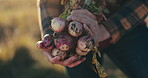 Hands, onions and farming with person closeup outdoor for agriculture, sustainability of fresh produce growth. Nature, food and eco friendly with a farmer working in a countryside field of land