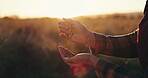 Hands, seeds and nature with a farmer in the countryside closeup to plant crops for sustainability. Harvest, spring or summer with a person on a farm for eco friendly agriculture and natural growth