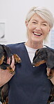 Face, smile and puppies with an old woman vet in an animal clinic for healthcare or treatment. Portrait, love and a happy senior medicine professional working with dogs as a medical veterinarian