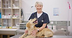 Smile, dog and veterinarian with stethoscope in a clinic for a healthcare checkup or treatment. Portrait, doctor and old woman medical vet working in an animal hospital to care for a labrador puppy