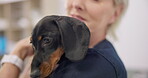 Face, pet and puppy with an old woman vet in an animal clinic for healthcare or treatment. Love, petting or stroking and a happy senior medicine professional working with a dog as a veterinarian