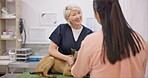 Vet, dog and mature happy woman talking, consulting and chat over medical help, wellness clinic or healthcare. Animal healing, veterinary consultation or hospital veterinarian speaking with client