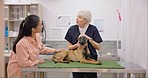 Dog, exam and woman with senior veterinary in a consultation room for eye inspection. Pet care, help and female with German Shepard puppy at a clinic consulting elderly lady vet for advice or checkup