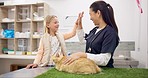 Cat Veterinary, child or happy woman high five, celebration and smile for medical test, wellness support or healthcare. Vet, happiness or kid celebrate animal healing, pet health and medicine success