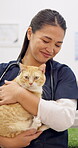 Smile, vet and woman pet cat for care, play and touch in healthcare clinic. Veterinary, cute kitty and happy medical professional, doctor and veterinarian working, checkup and animal treatment