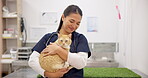 Smile, vet and woman with pet cat for care in healthcare clinic or hospital. Veterinary, kitten and Asian medical professional, doctor and veterinarian employee work, checkup and animal treatment
