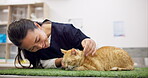 Smile, vet and woman with pet cat for care in healthcare clinic, play or touch. Veterinary, kitty and Asian medical professional, doctor and veterinarian employee working, checkup or animal treatment