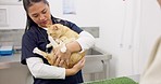 Medical woman, client and cat vet appointment, consultation or checkup for clinic help, wellness support or feline healthcare. Veterinary, animal healing and veterinarian for test, exam or assessment