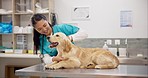 Woman, vet and happy dog on table for consultation, medical advice and pet care insurance. Doctor, female veterinarian and Labrador puppy at hospital for professional help, check up and animal clinic