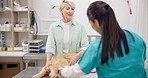 Woman, vet and dog on table for discussion, medical advice and pet care in health insurance. Mature person with female veterinarian, sick Labrador puppy and professional consultation at animal clinic