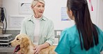 Woman consulting vet, dog on table and discussion on medical advice, pet care and health insurance. Mature person with veterinarian, Labrador puppy and professional help at animal clinic or hospital.