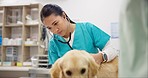 Woman, animal clinic and dog on table for consultation, medical advice and pet care with stethoscope. Person with female veterinarian, sick Labrador puppy and professional healthcare at vet hospital