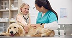 Stethoscope, vet and a girl with her puppy in a clinic for animal care during a checkup or appointment. Medical, listening and a dog in a veterinary hospital with a professional doctor for consulting