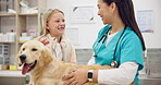 Kids, vet and a girl with her dog in a clinic for animal care during a checkup or appointment. Children, medical and a puppy in a veterinary hospital with a professional doctor for consulting