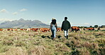 Cattle, farm and people walking on sustainable agriculture land together and planning organic field harvesting. Production, livestock and workers together as teamwork in nature in countryside