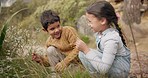 Adventure, flowers and children exploring in the mountain in outdoor nature together. Magnifying glass, fun and young kids playing with plants for research on a hike in countryside on vacation.