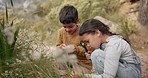 Adventure, nature and children exploring in the mountain for outdoor discovery together. Magnifying glass, fun and young kids playing with plants for research on a hike in countryside on vacation.