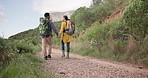 Backpack, couple holding hands and hiking outdoor, travel and vacation together in nature. Back, man and woman trekking in countryside on journey, adventure and walking for freedom, love and support