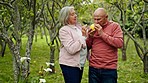 Senior couple, fruit tree and walking outdoor with lemon and smile from nature with love and care. Countryside, freedom and wellness with happy woman and man together in retirement and green forest