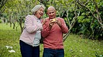 Senior couple, fruit tree and relax outdoor with lemon and smile from nature with love and care. Countryside, freedom and wellness with happy woman and man together in retirement and green forest