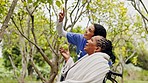 Caregiver, senior woman and park view with wellness, apple and conversation in the garden. Fruit, health discussion and nurse with elderly female person with speaking and food with patient in nature