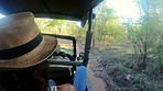 Through the game reserve