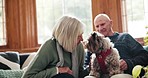 Senior couple, dog and couch in home with care, talking and love with bonding, relax and stroke with kindness. Elderly woman, old man and animal with play, smile and pet with chat on living room sofa