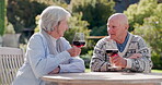 Senior couple, toast and wine in garden with smile, marriage and communication for care in retirement. Elderly people, love or relax together in nature by alcohol glass, wellness or happy in sunshine