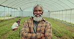 Face, smile and man in greenhouse for agriculture, ecology and sustainable plant development. Portrait, african farmer and arms crossed for management of community ngo, gardening and agro environment