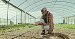 Farmer, senior man and tablet with soil for agriculture, monitoring and plant in a greenhouse. Smile and field check with agro growth and farming with happy gardener and countryside crops with work