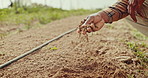 Farm, hands and closeup of man with soil for growth development of plants, vegetables or produce. Sustainable, agriculture and zoom of person with sand or dirt for agro environment in countryside.