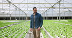 Farmer, nursery and man in garden, greenhouse and sustainable farming for agriculture, gardening and growth. Gardener, ecology and organic products for eco friendly, greenhouse and food production
