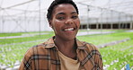Woman, portrait and hydroponic farm inspection for plant agriculture checklist, quality control or research. Black person, farmer and smile for greenhouse leaves for gardening, career or analysis