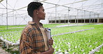 Greenhouse, black woman and documents with clipboard, agriculture and sustainability with inspection. African person, employee and inspector with paperwork, nature or countryside with startup or agro