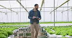 Farmer, nursery and man in garden, clipboard and sustainable farming for agriculture, gardening and growth. Gardener, ecology and organic products for eco friendly, greenhouse and food production
